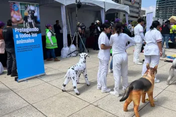 Hundreds in Mexico City attend mass first aid class for people and animals in disasters